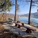 Beli Labod Apartment Medvode