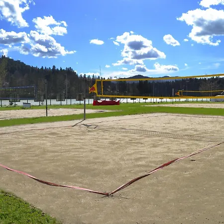 Beli Labod * メドヴォデ