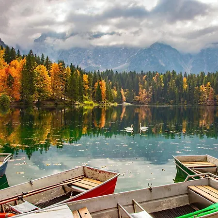 Appartement Beli Labod