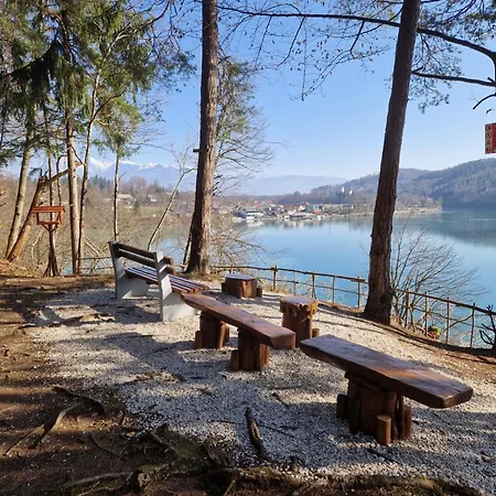 Beli Labod Apartman Medvode
