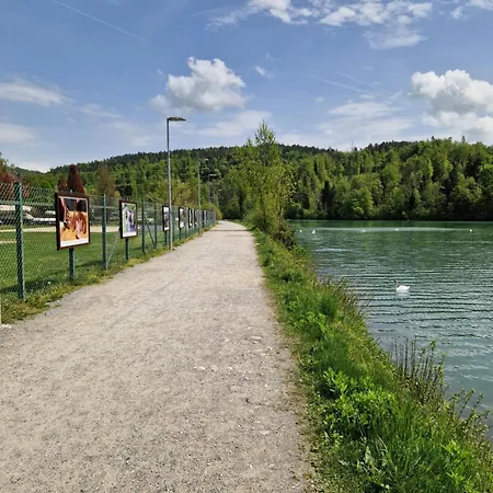 Beli Labod * メドヴォデ