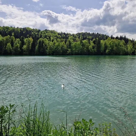 Beli Labod Διαμέρισμα Medvode