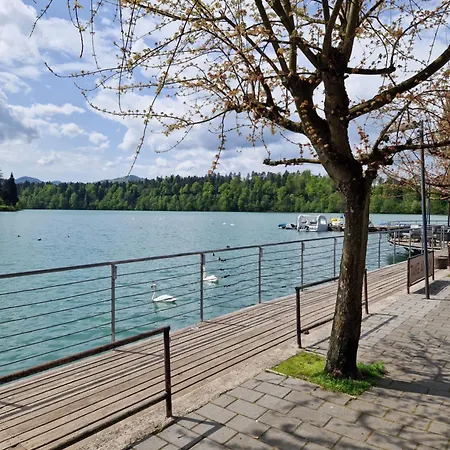 Διαμέρισμα Beli Labod