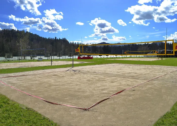 Beli Labod * Medvode