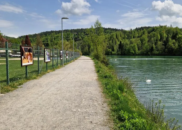 Beli Labod * Medvode