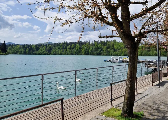 Apartmán Beli Labod